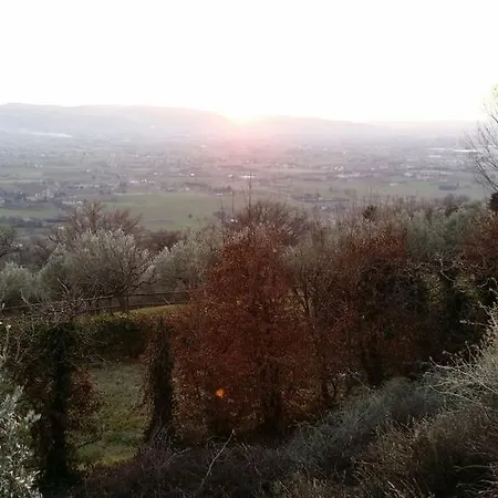 Bed and Breakfast La Palazzetta *